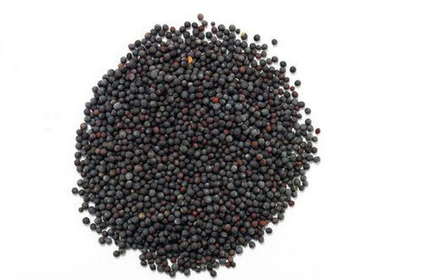 Jalpur Black Mustard Seeds