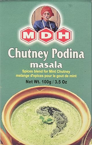 MDH Chutney Podina Masala - 100g